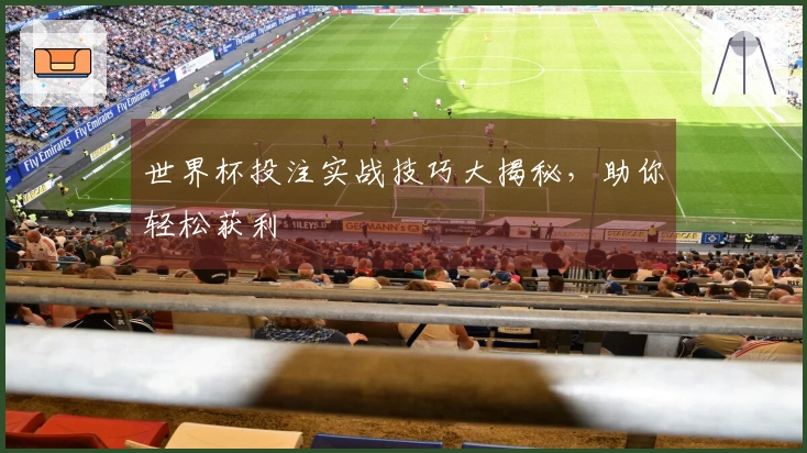 世界杯投注实战技巧大揭秘，助你轻松获利