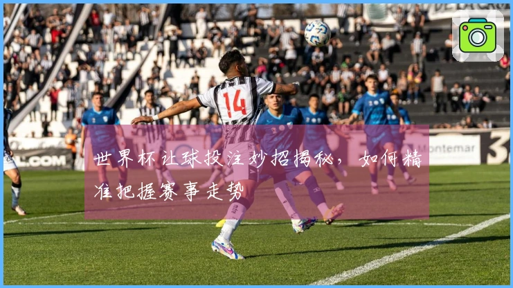 世界杯让球投注妙招揭秘，如何精准把握赛事走势