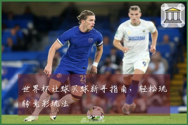 世界杯让球买球新手指南，轻松玩转竞彩玩法
