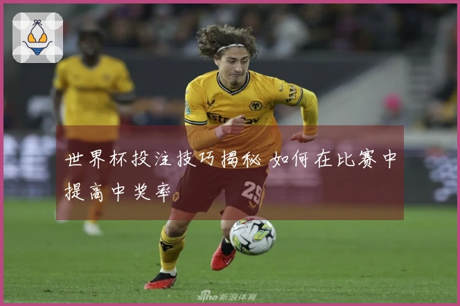 世界杯投注技巧揭秘 如何在比赛中提高中奖率