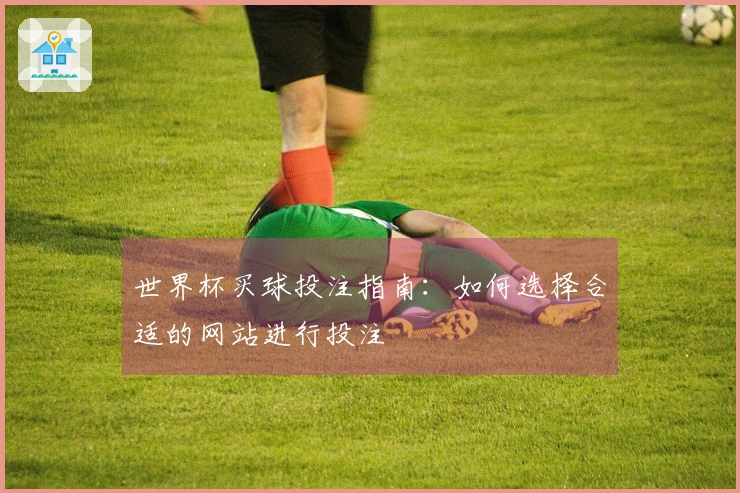 世界杯买球投注指南：如何选择合适的网站进行投注