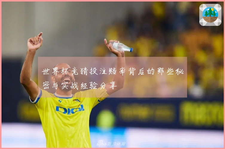 世界杯竞猜投注赔率背后的那些秘密与实战经验分享