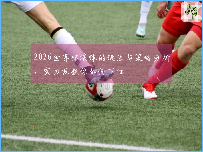 2026世界杯滚球的玩法与策略分析，实力派教你如何下注