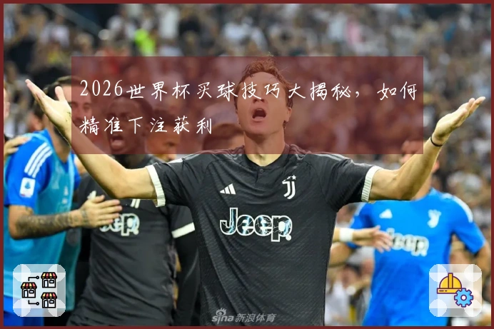 2026世界杯买球技巧大揭秘，如何精准下注获利