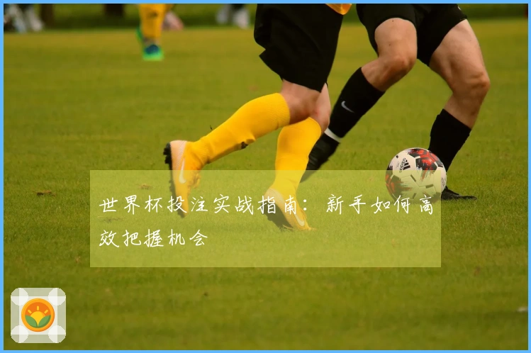 世界杯投注实战指南：新手如何高效把握机会