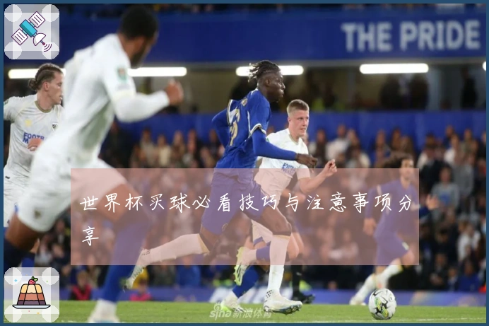 世界杯买球必看技巧与注意事项分享