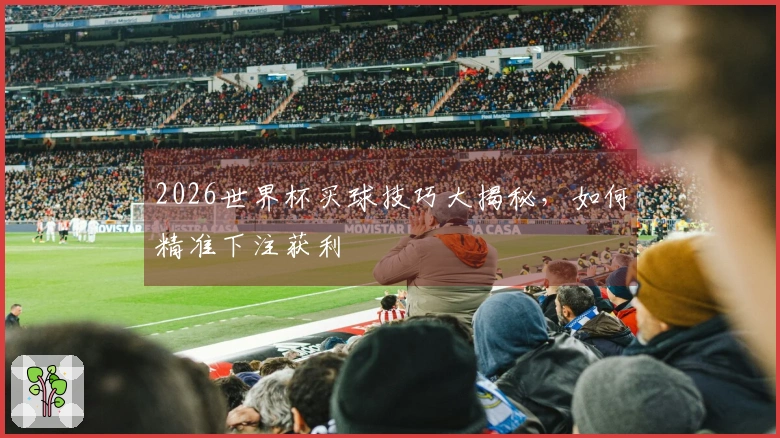 2026世界杯买球技巧大揭秘，如何精准下注获利