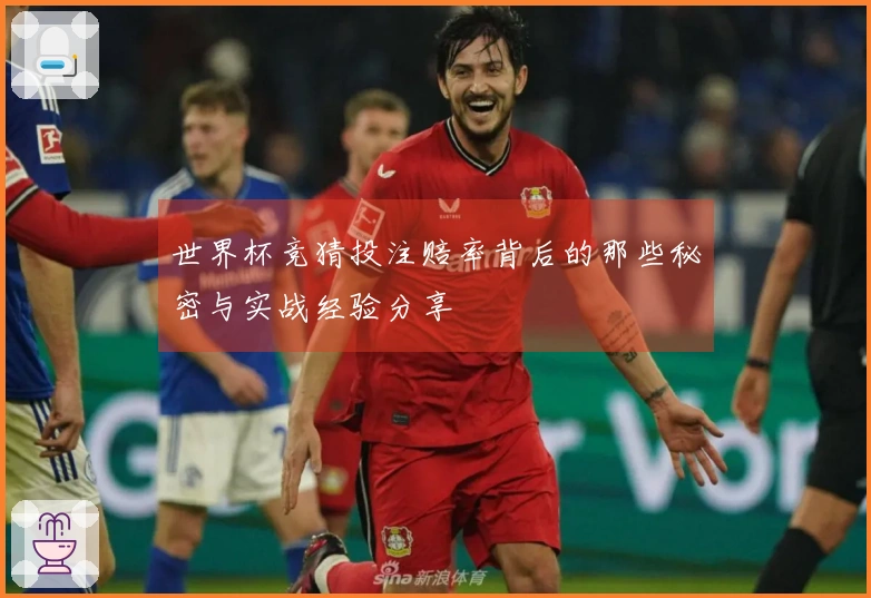 世界杯竞猜投注赔率背后的那些秘密与实战经验分享