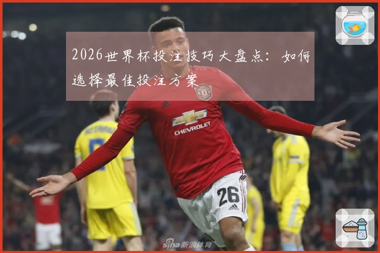 2026世界杯投注技巧大盘点：如何选择最佳投注方案
