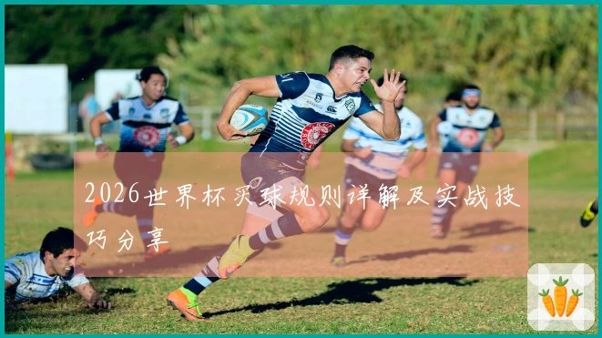 2026世界杯买球规则详解及实战技巧分享