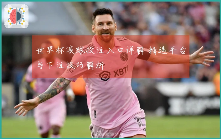 世界杯滚球投注入口详解 精选平台与下注技巧解析