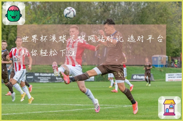 世界杯滚球买球网站对比 选对平台助你轻松下注