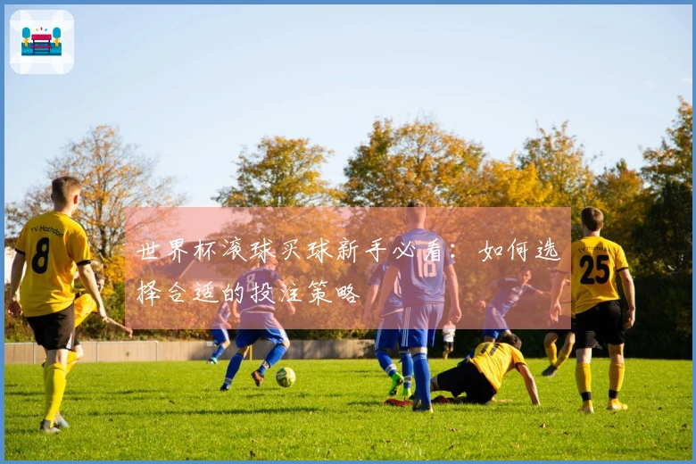 世界杯滚球买球新手必看：如何选择合适的投注策略